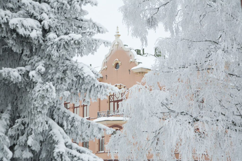 Vaaleanpunainen historiallinen museo pilkistää lumisten puiden keskeltä