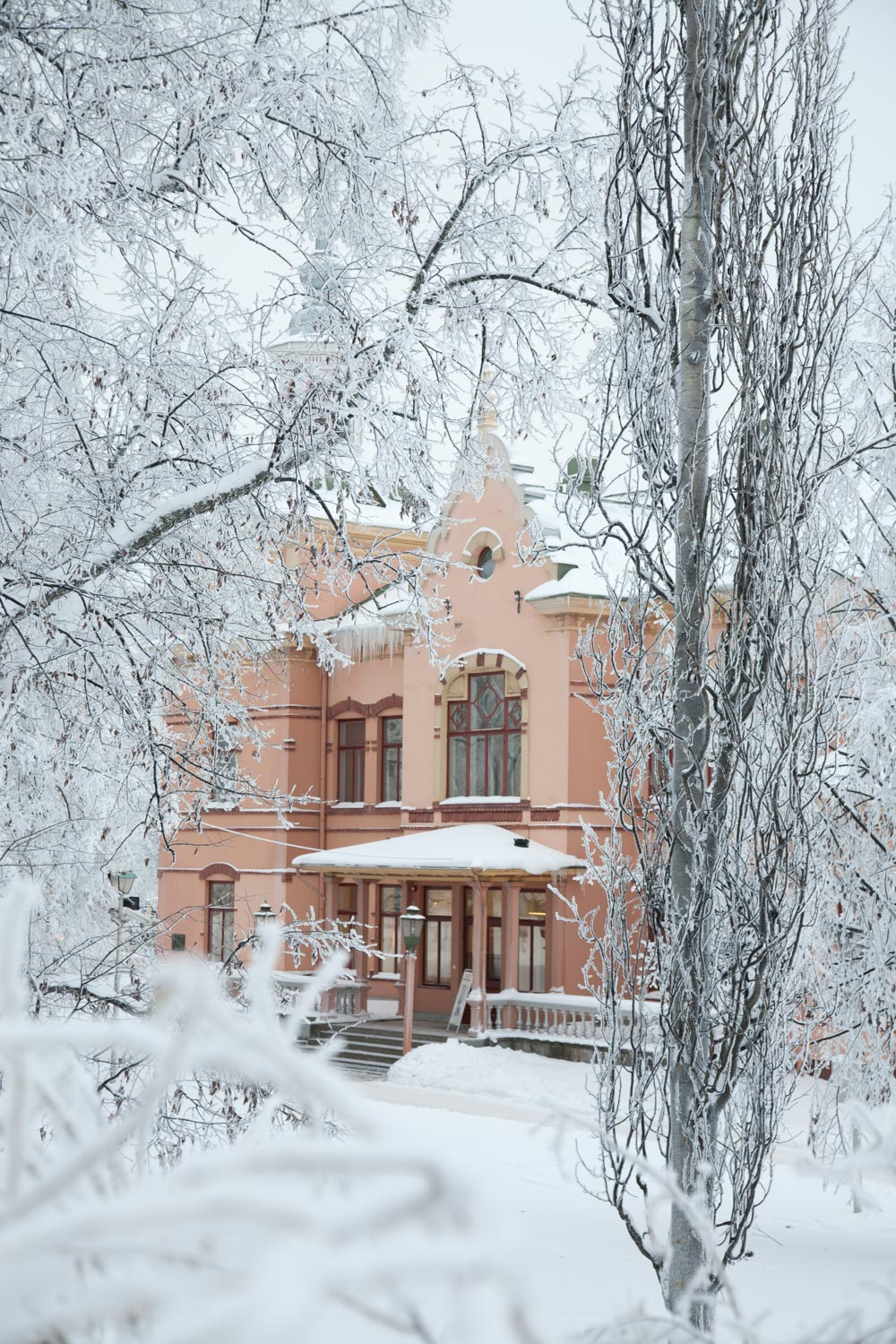Historiallinen museo näkyy lumisten oksien välistä.