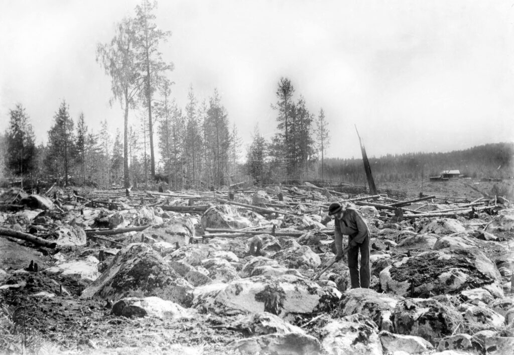 Haukka-Kustaa kuokkii maata Padasjoen Majuanvuorella 1890-luvulla. Kuva on Albert Theodor Böökin ottama.